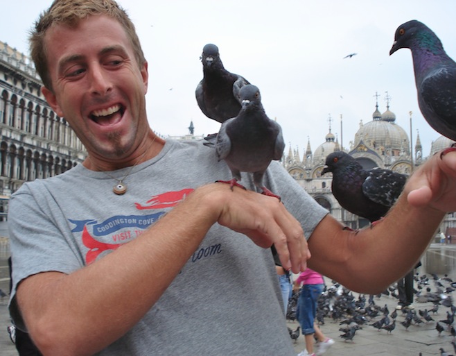 Italy Venice Birds